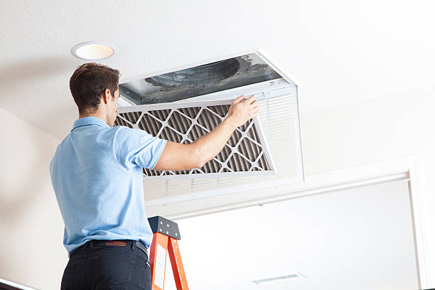 Best Air Filters and Purifiers in Ciborne, LA
